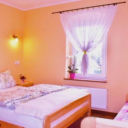 Pokoje nad rzeką Kudowa-Zdrój Zewnętrze zdjęcie